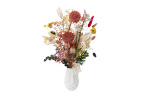 chrysantheme-sola-blume-m-29.