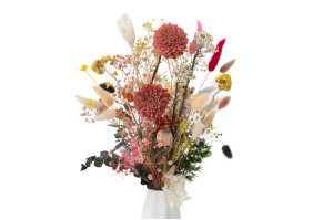 chrysantheme-sola-blume-m-29.