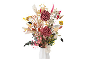 cridahlie-sola-blume-l-29.