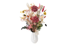 cridahlie-sola-blume-l-29.