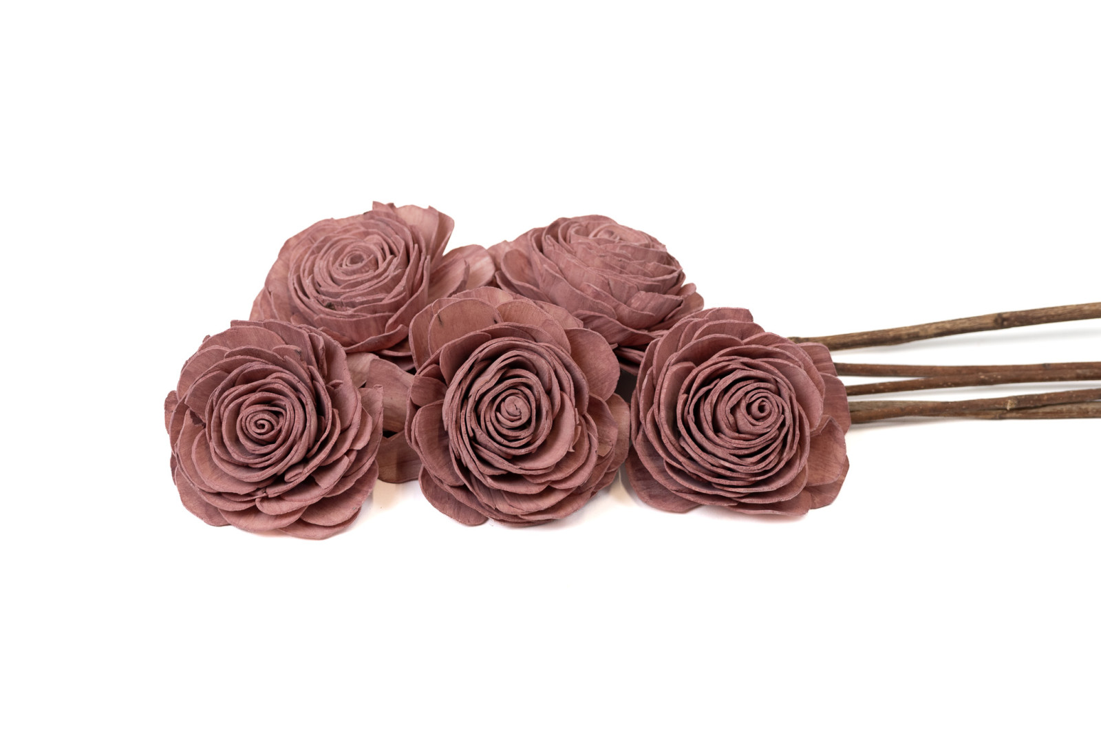 beauty-rose-sola-flower-l-29