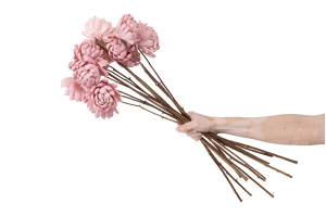 ninza-sola-blume-l-29.