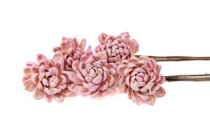 ninza-sola-blume-l-29.