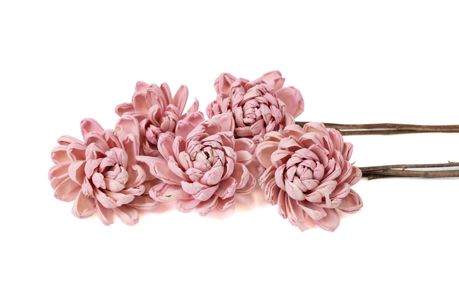 ninza-sola-flower-l-29