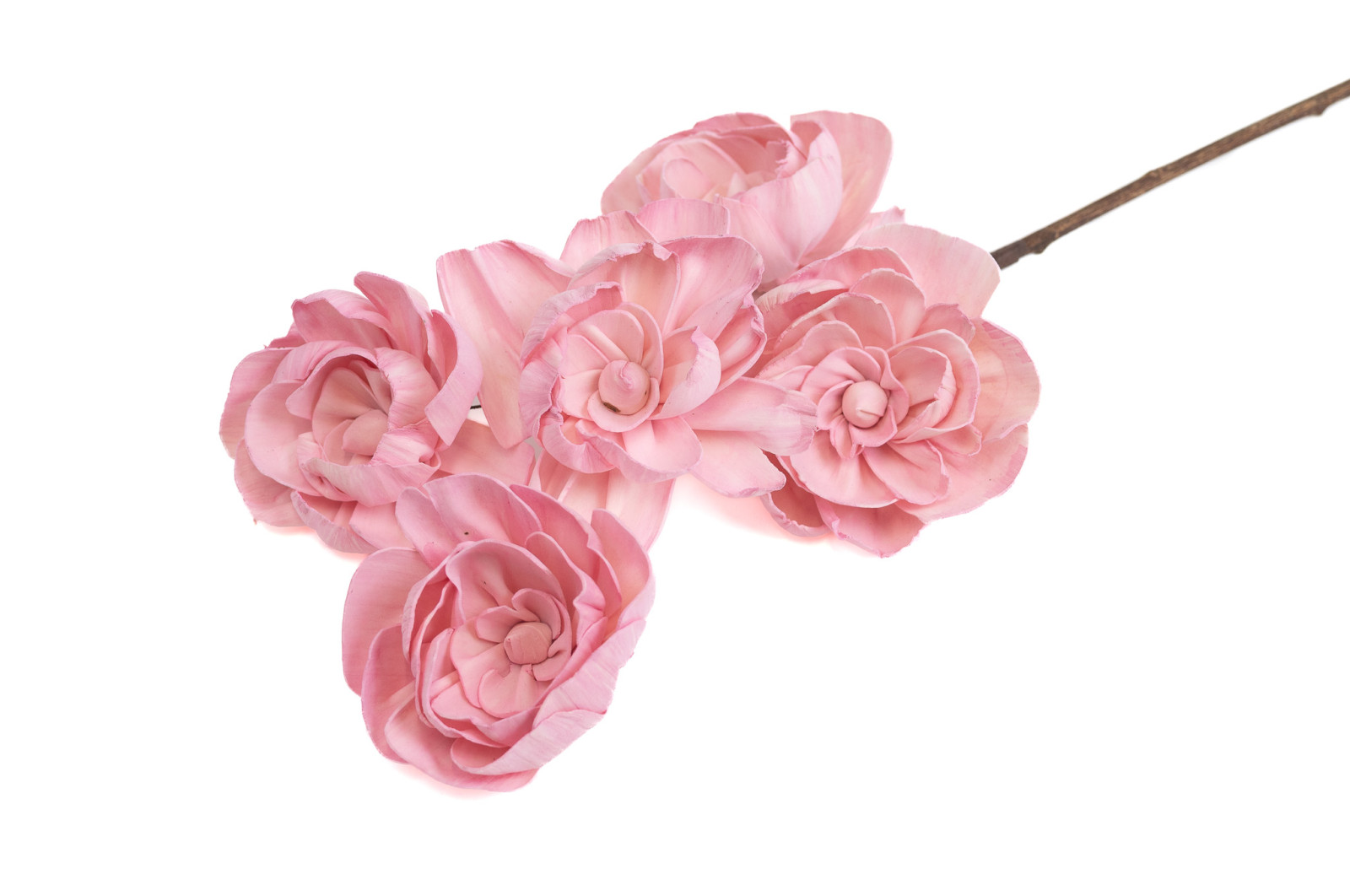 pivoine-spray-sola-flower-29