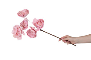 pivoine-spray-sola-flower-29.