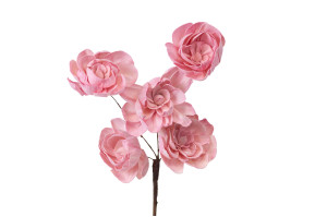 peony-spray-sola-flower-29.