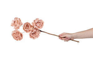 spray-pfingstrose-sola-blume-29.