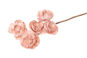 pivoine-spray-sola-flower-29.