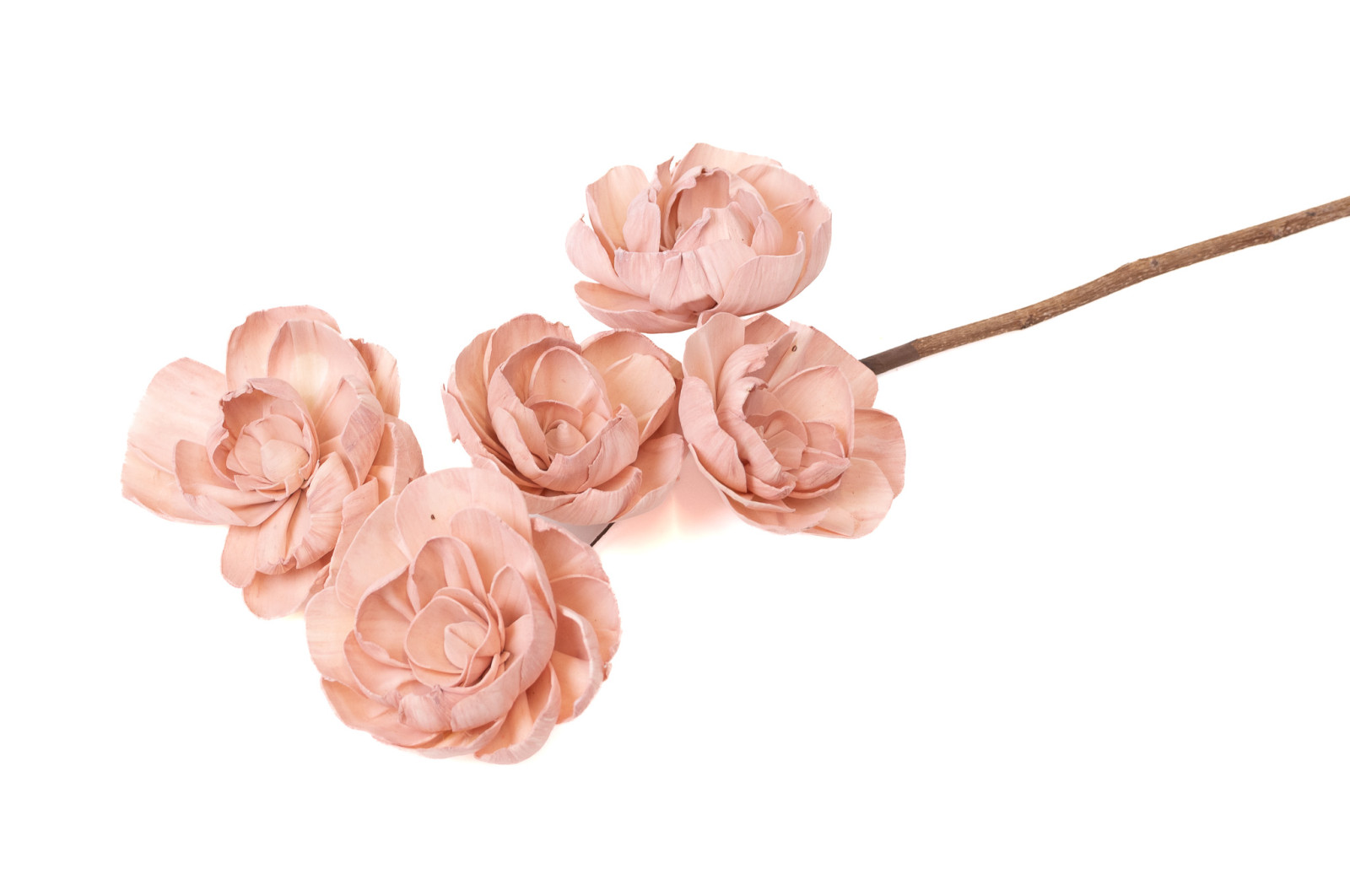 peony-spray-sola-flower-29