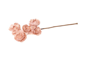 peony-spray-sola-flower-29.