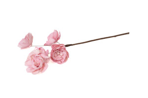 spray-pfingstrose-sola-blume-29.