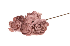 spray-pfingstrose-sola-blume-29.