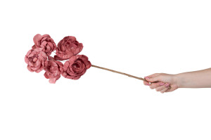 pivoine-spray-sola-flower-29.