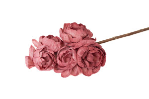 pivoine-spray-sola-flower-29