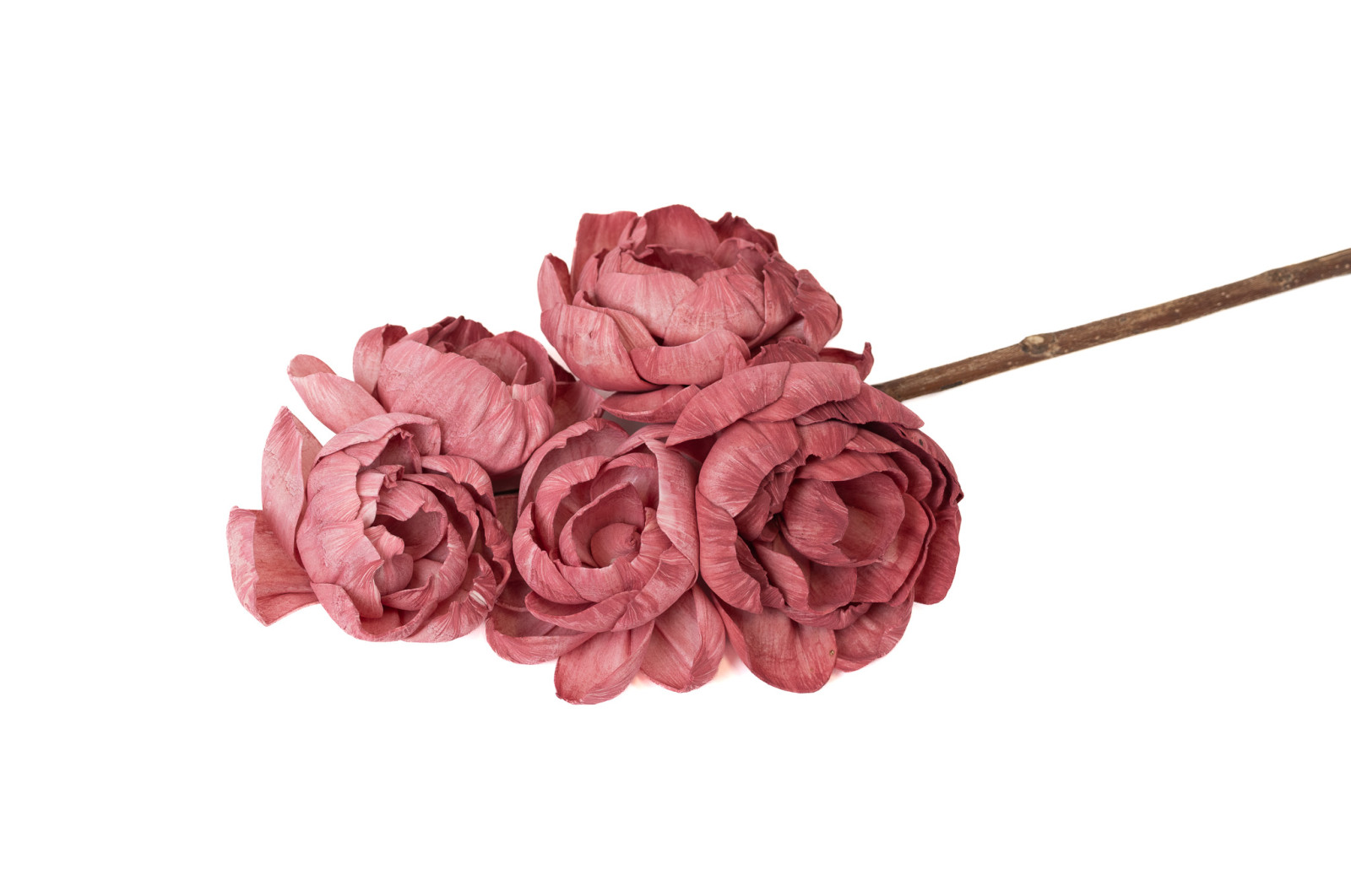 spray-pfingstrose-sola-blume-29