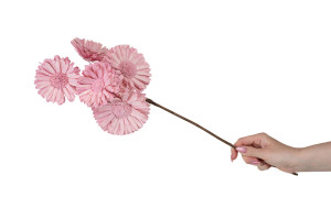 spray-gerbera-sola-blume-29.