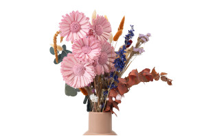 gerbera-spray-sola-flower-29.