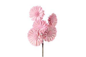 spray-gerbera-sola-blume-29.