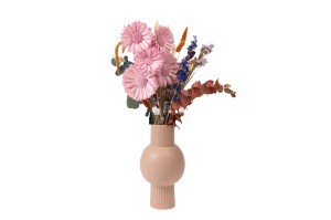 gerbera-spray-sola-flower-29.