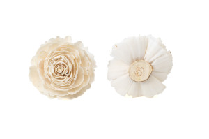 cabbage-rose-sur-socle-sola-flower-29.