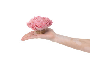 kohlrose-auf-sockel-sola-blume-29.