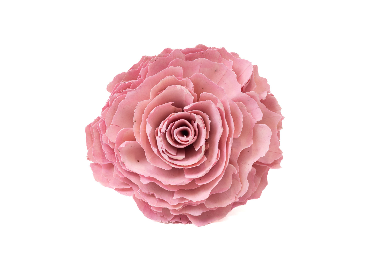 cabbage-rose-sur-socle-sola-flower-29