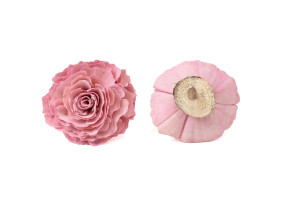 cabbage-rose-on-base-sola-flower-29.