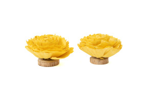 cabbage-rose-sur-socle-sola-flower-29.