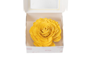 kohlrose-auf-sockel-sola-blume-29.