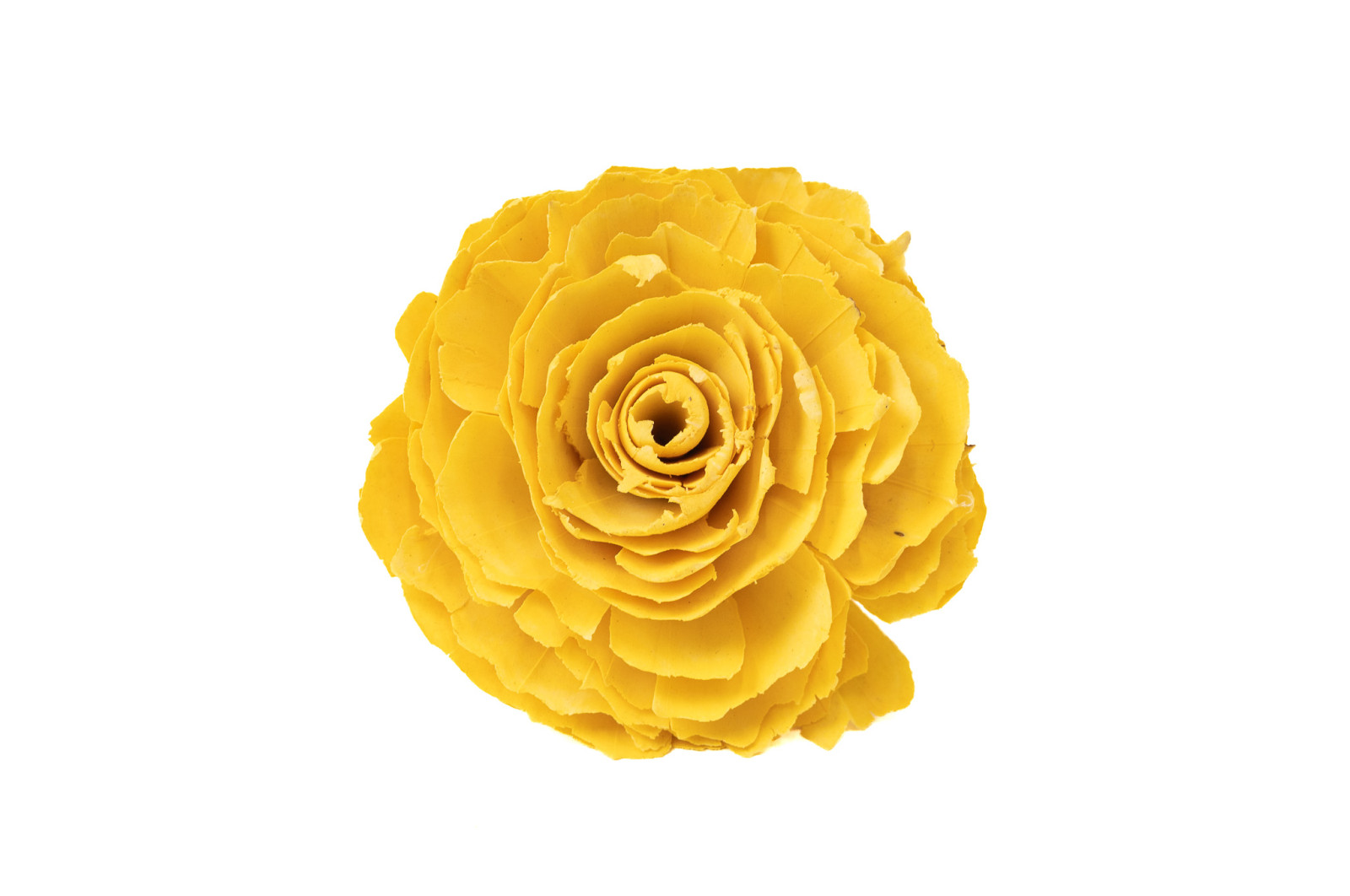 kohlrose-auf-sockel-sola-blume-29