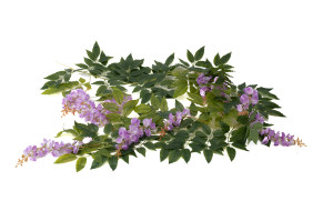 glycine-artificielle-guirlande-40.