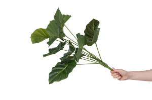 artificial-alocasia-pick-40.