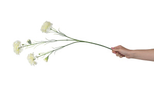 artificial-carnation-40.
