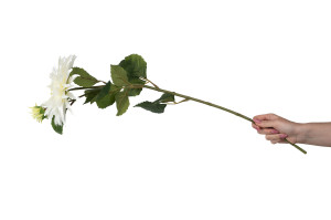 artificial-xl-dahlia-40.