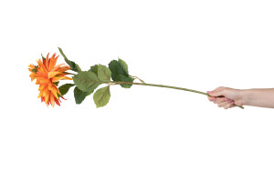 artificial-xl-dahlia-40.