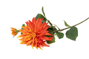 artificial-xl-dahlia-40.