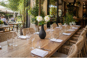 artificial-xl-dahlia-40.