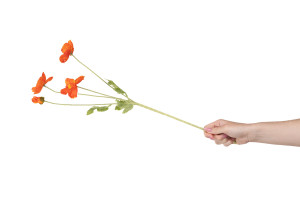 artificial-poppy-40.