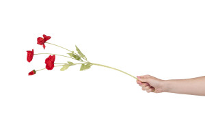 artificial-poppy-40.