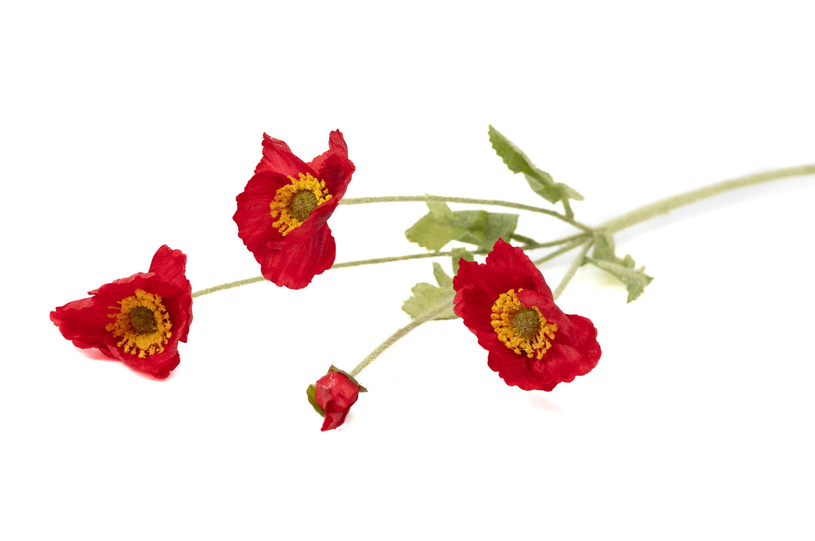 kuenstlicher-mohn-40