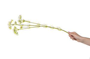 statice-artificielle-40.