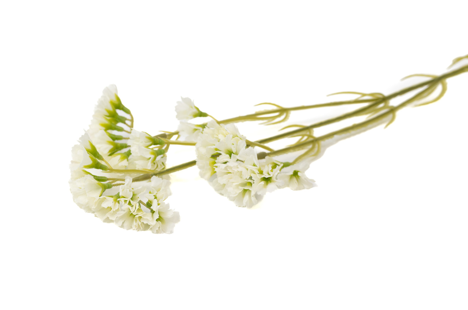 statice-artificielle-40