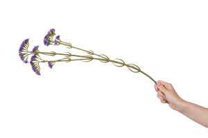 statice-artificielle-40.