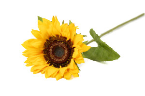 kuenstliche-sonnenblume-40