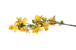 artificial-azalea-branch-40.