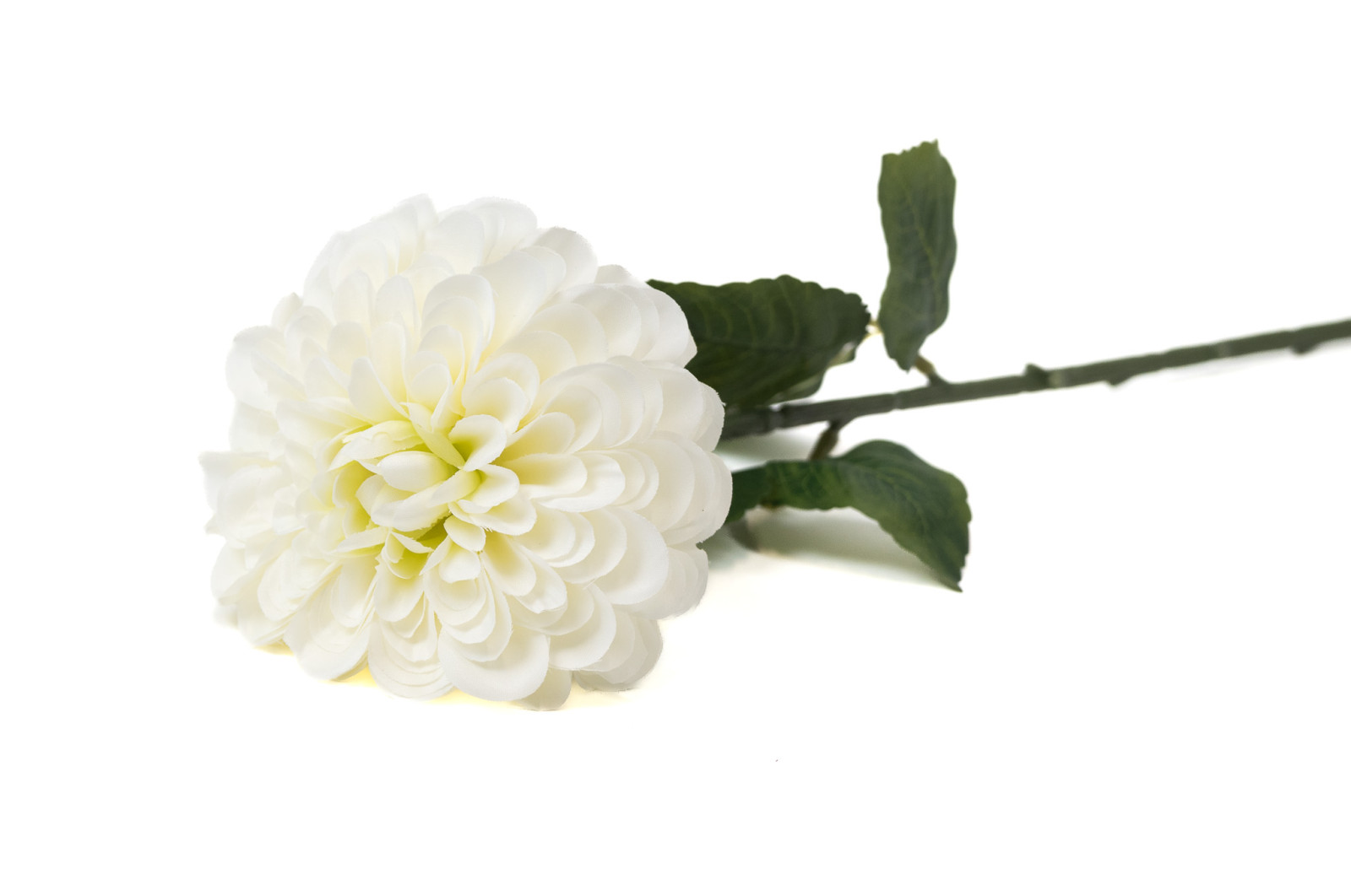 zinnia-artificiel-40