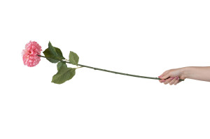 zinnia-artificiel-40.