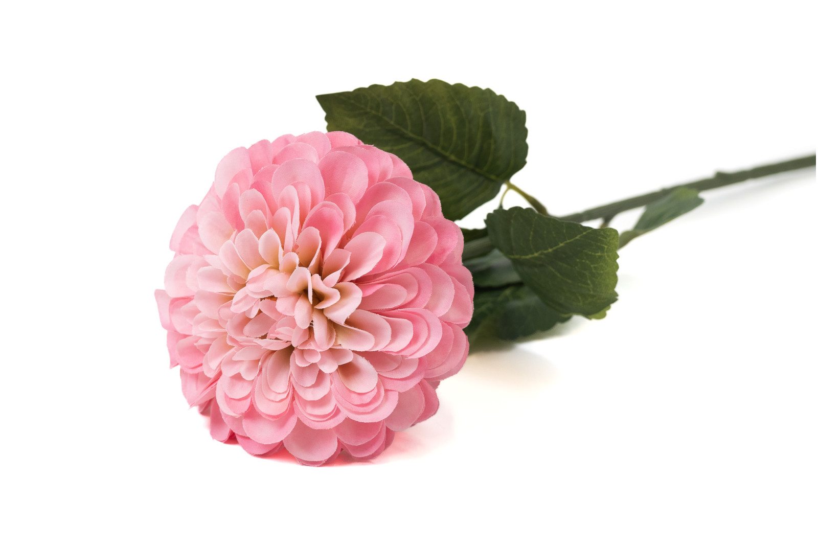 zinnia-artificiel-40