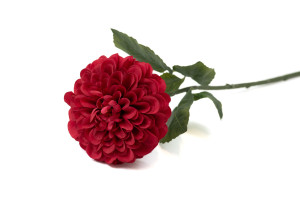 zinnia-artificiel-40.